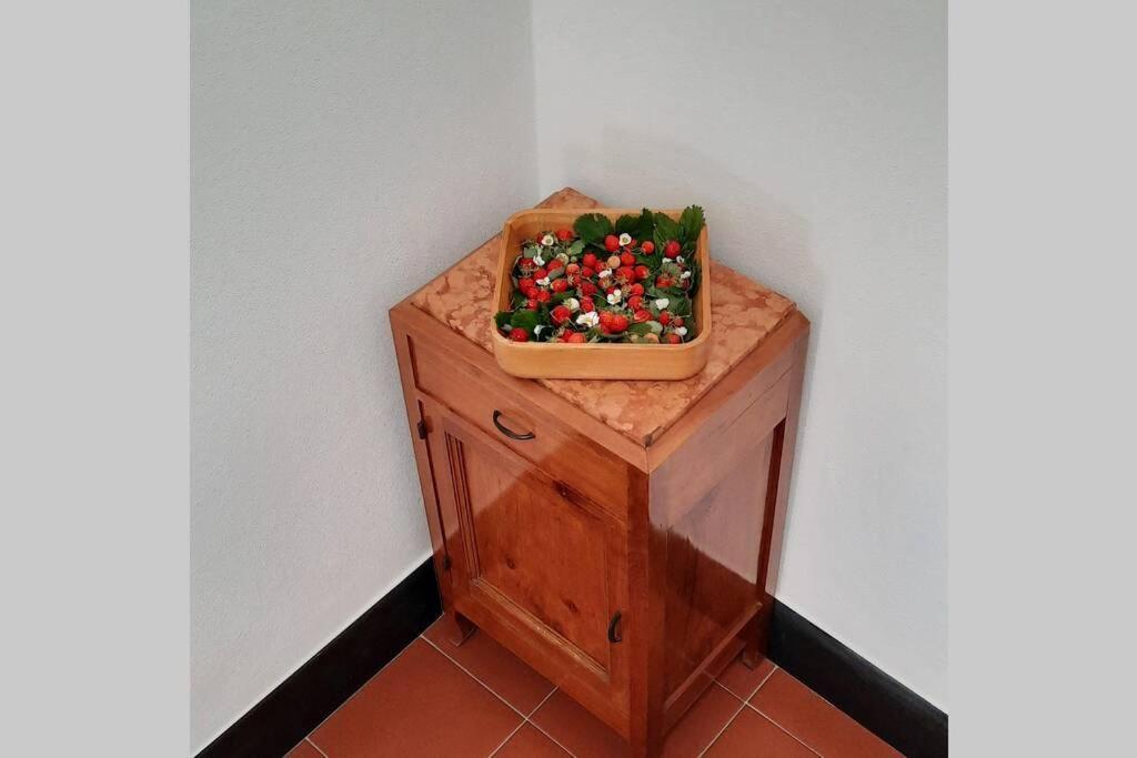 La Finestra Sul Golfo - Citra 010018-lt-0033 - Casa vacanze Cogorno